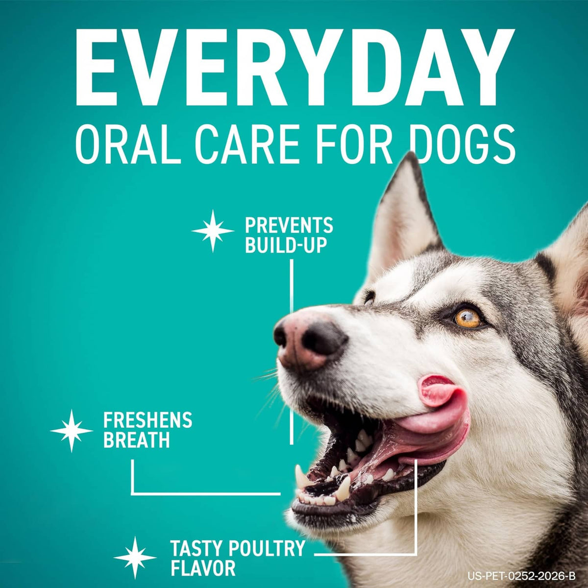 Green dental hygiene chew stick shown with a dog mouth