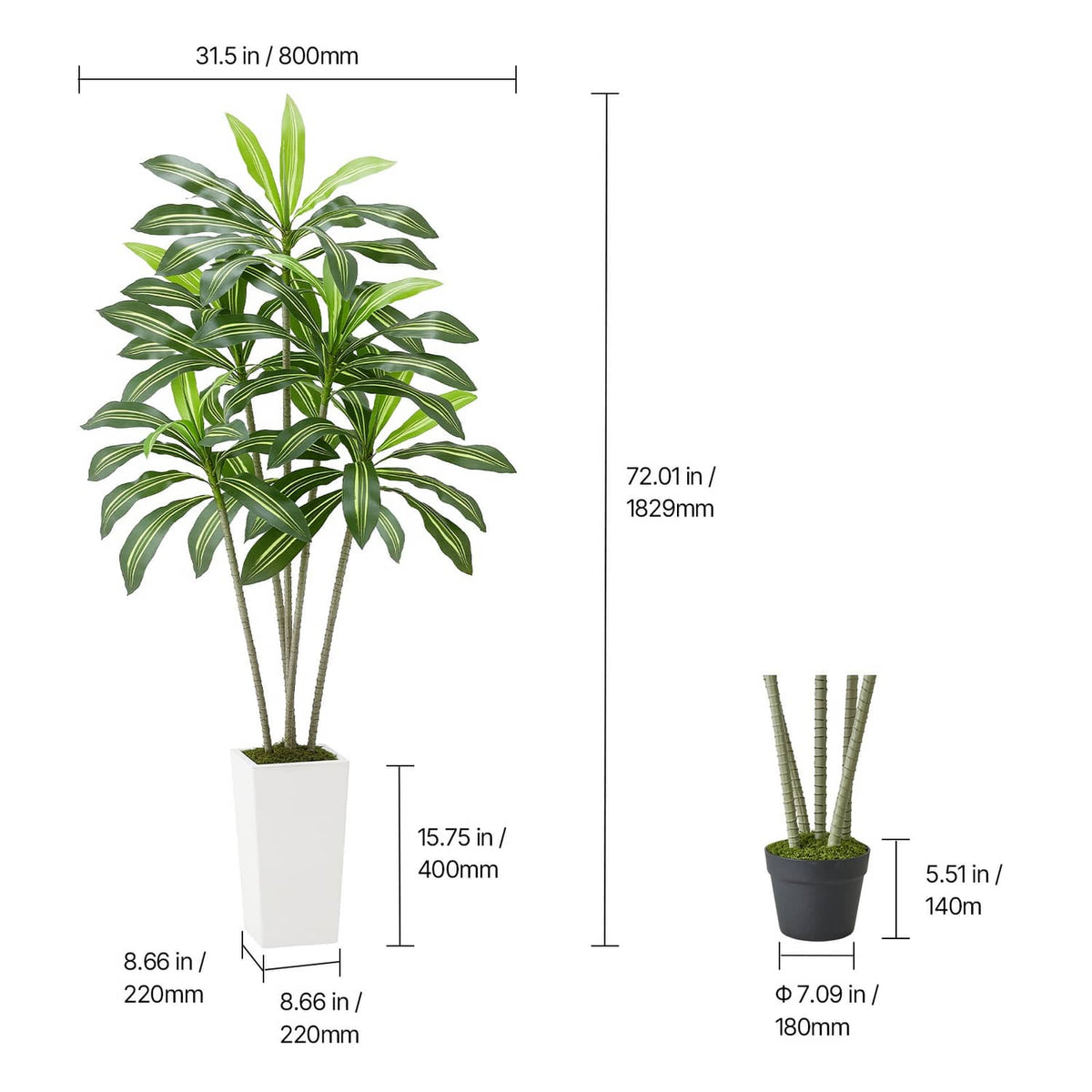 Faux dracaena tree height diagram with green leaves in white pot, two angle views