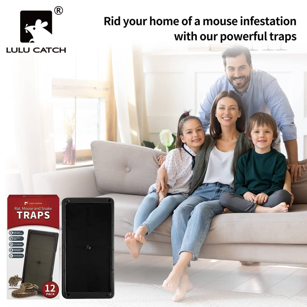 Mouse glue trap with black rectangular tray on a couch, next to 12-pack box
