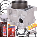 Engine cylinder block with piston, rings, and gasket kit components