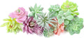 Mini artificial succulents bouquet in mixed green, pink, and purple flocked colors.