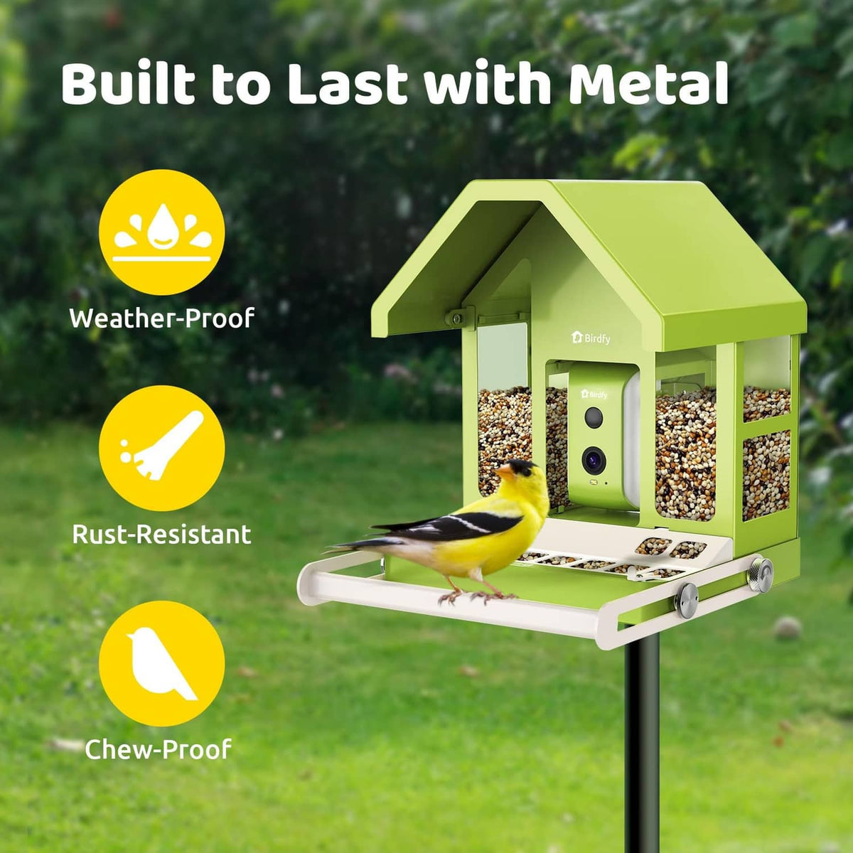 Green metal bird feeder with camera module and clear seed compartments, perched birds