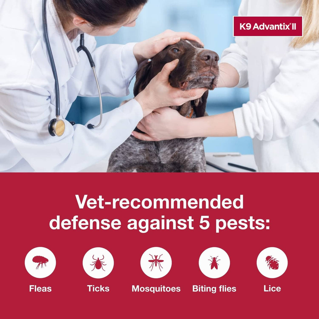Vet-applied flea and tick treatment ad with a doctor holding a dog