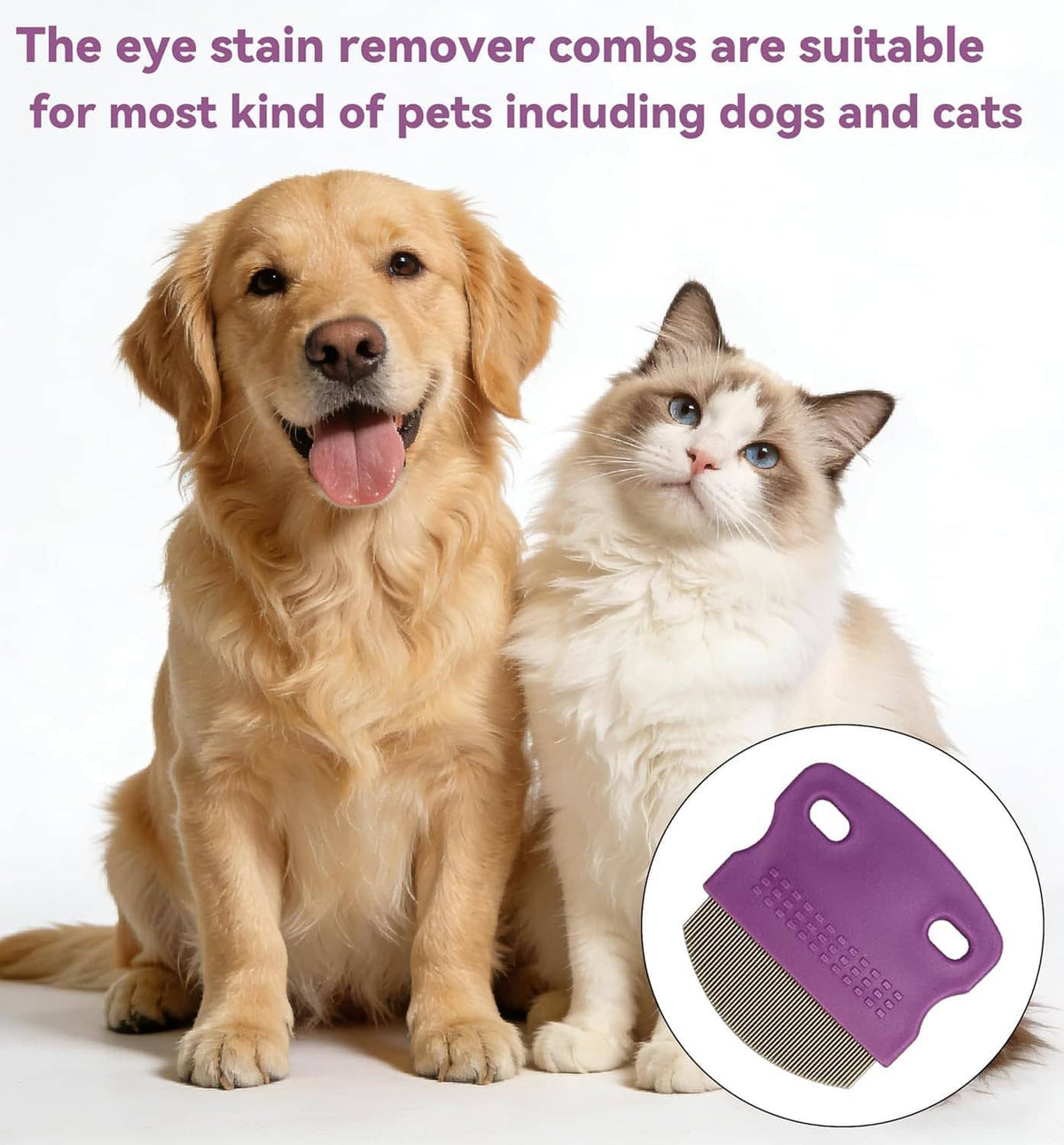 Golden dog and white cat beside purple facial eye comb with stainless teeth
