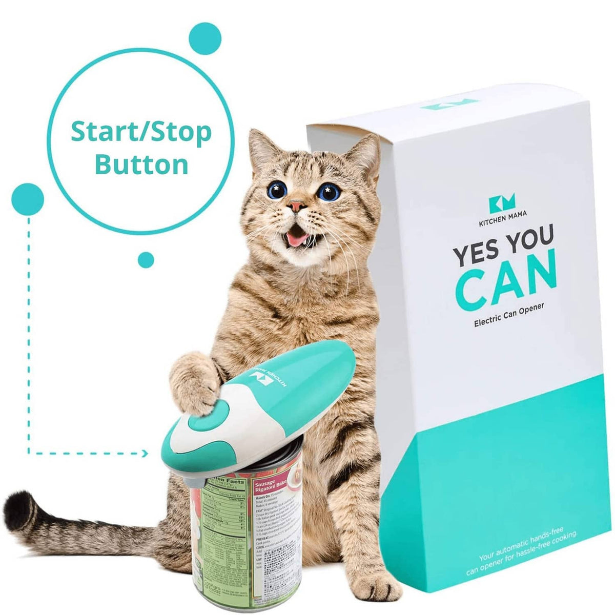 Teal and white electric can opener on a can with product box beside it