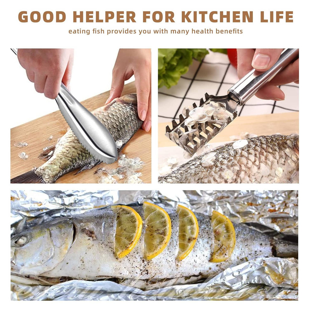 Stainless steel fish scaler for cleaning fish with curved toothed scraping head