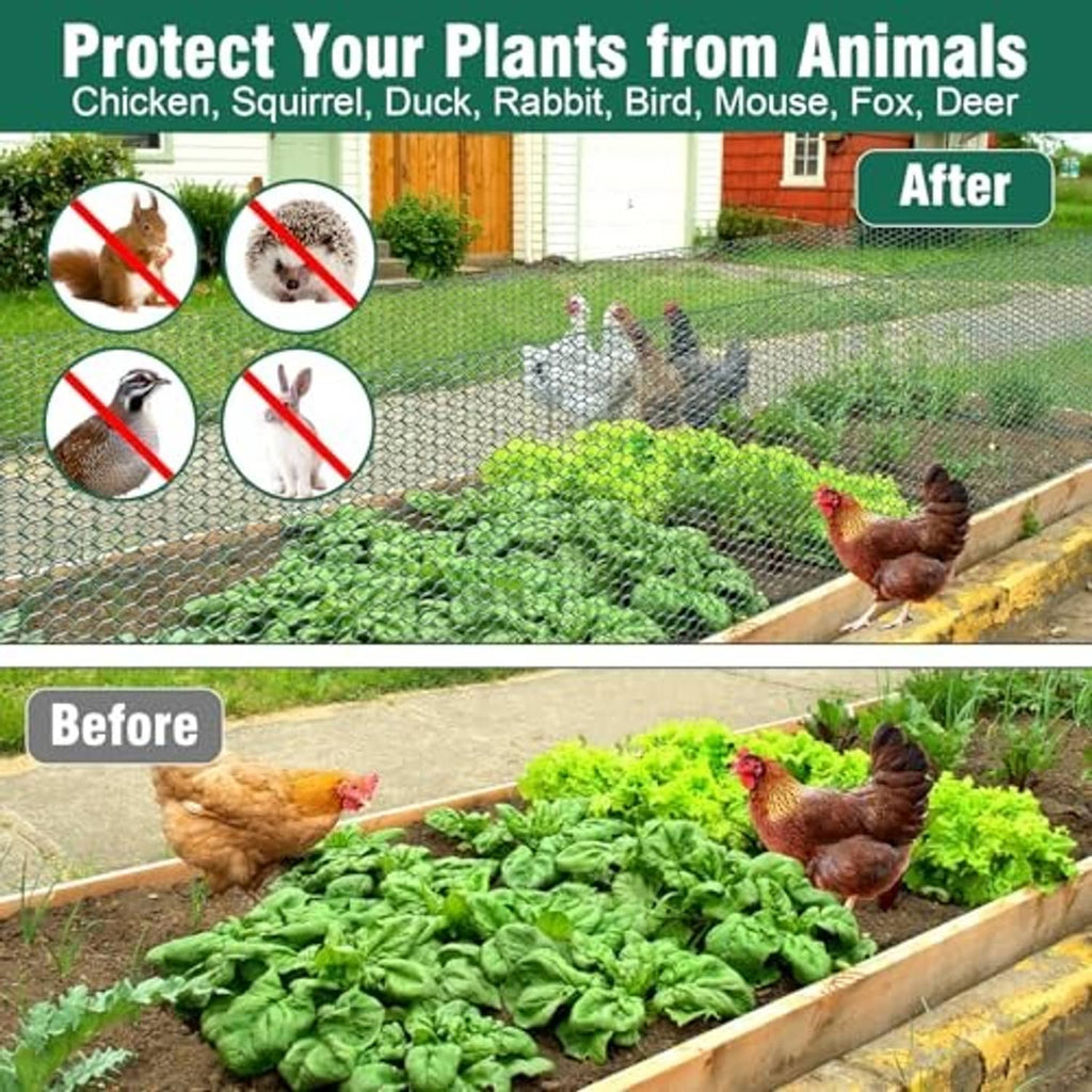 Metal chicken wire garden fence enclosing a raised bed, protective mesh barrier