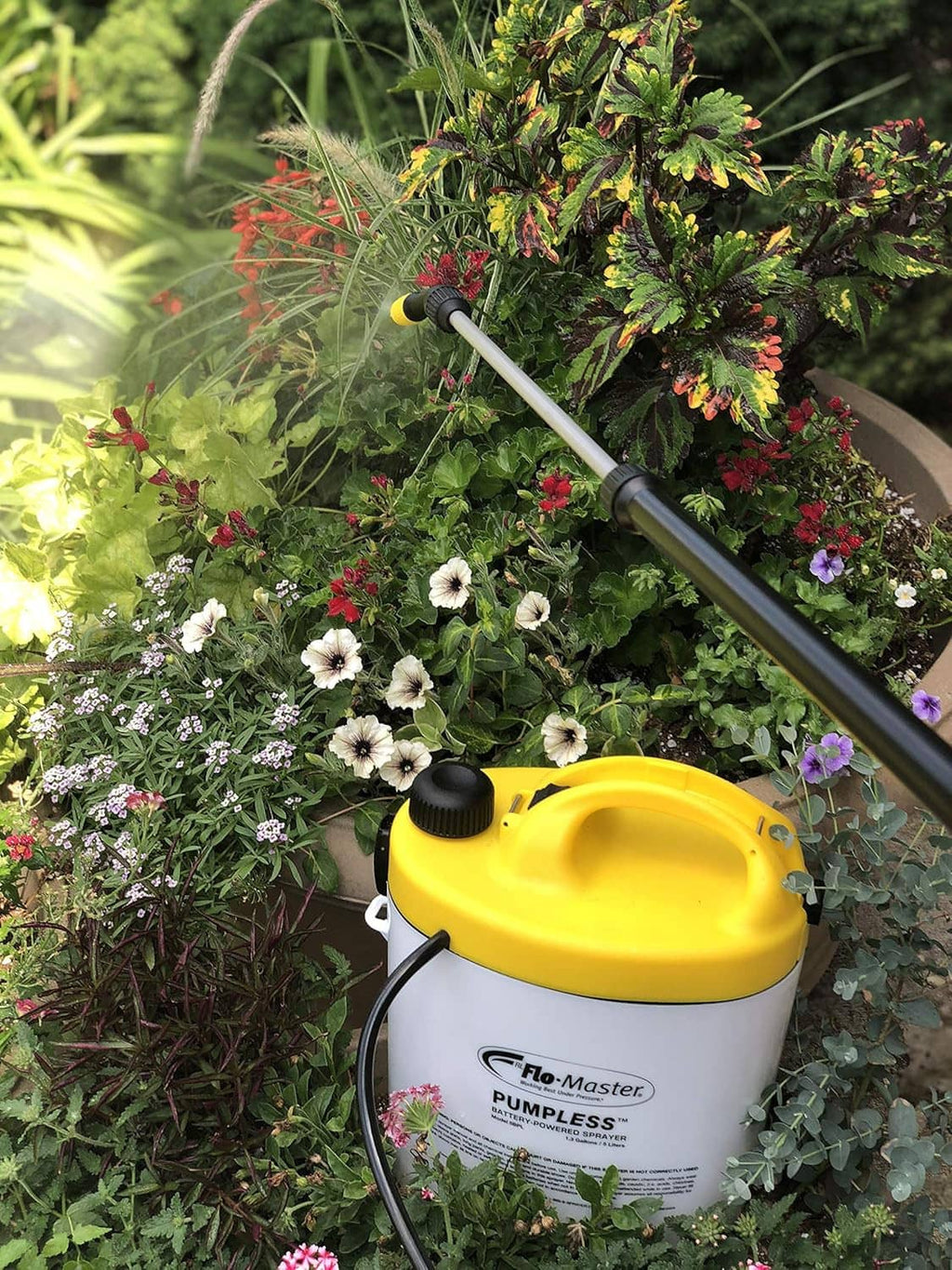 Yellow battery sprayer with long wand spraying flowering shrubs