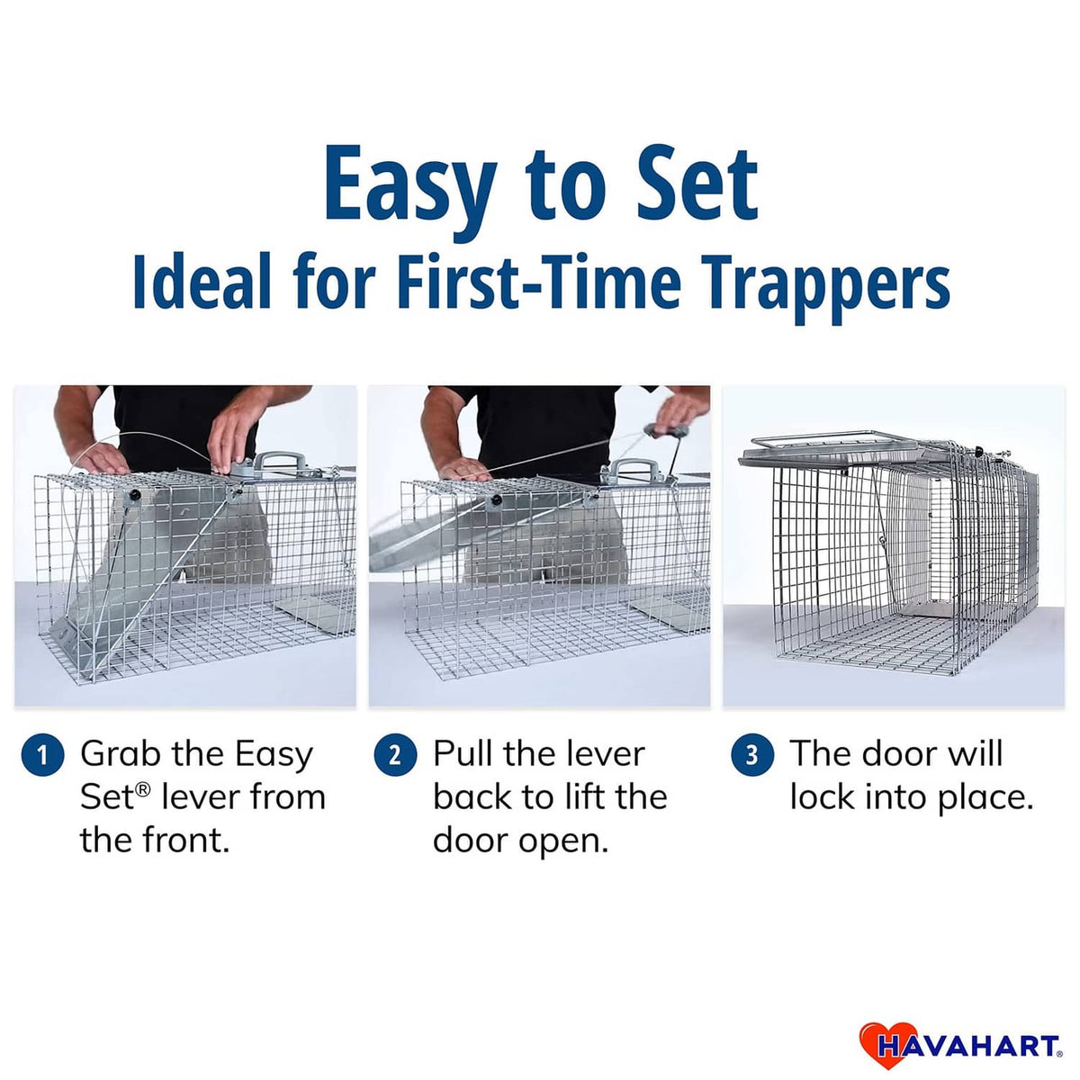 Havahart live trap easy-set instructions with door lock and release steps
