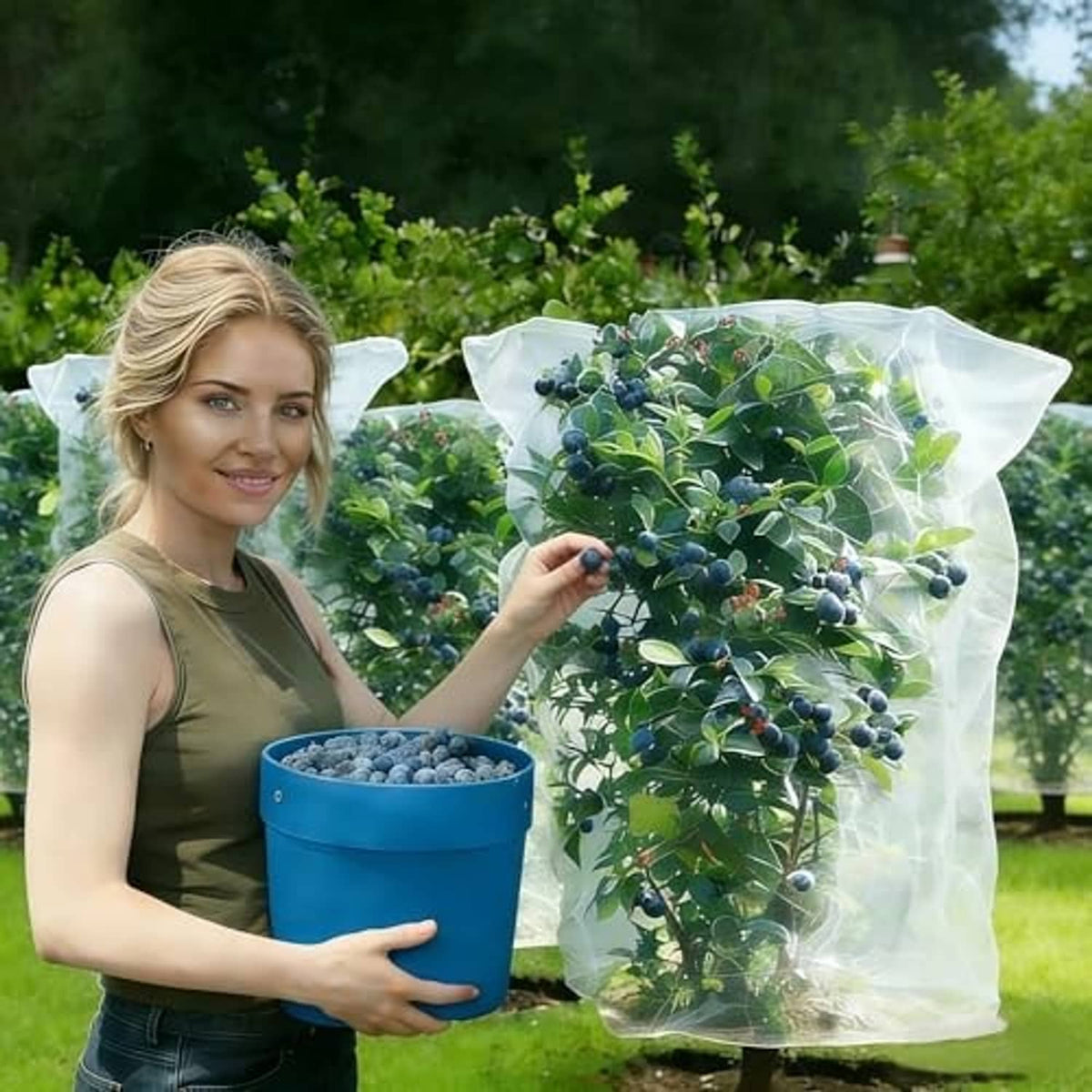 Transparent fruit netting bag covering leafy blueberry branches, held upright