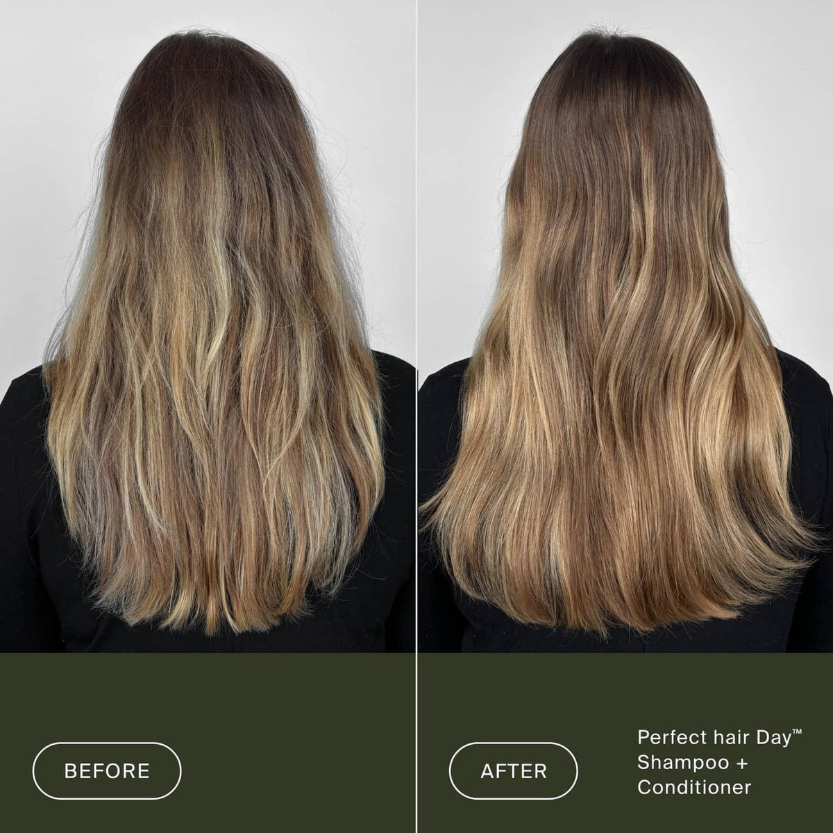 Conditioned shoulder-length hair, smooth back view with softer, shiny ends