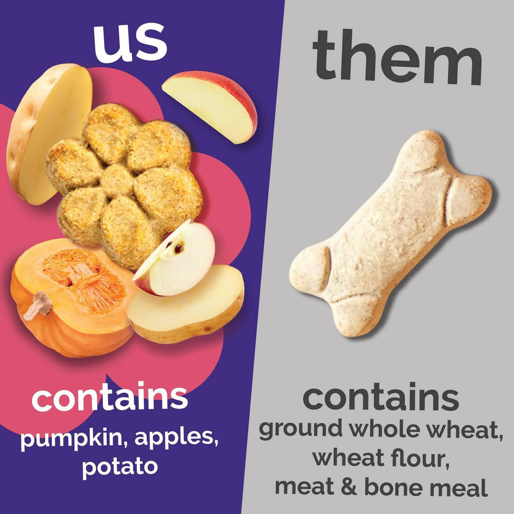Fruitables pumpkin & apple dog treats with round treat pieces and bone-shaped treats