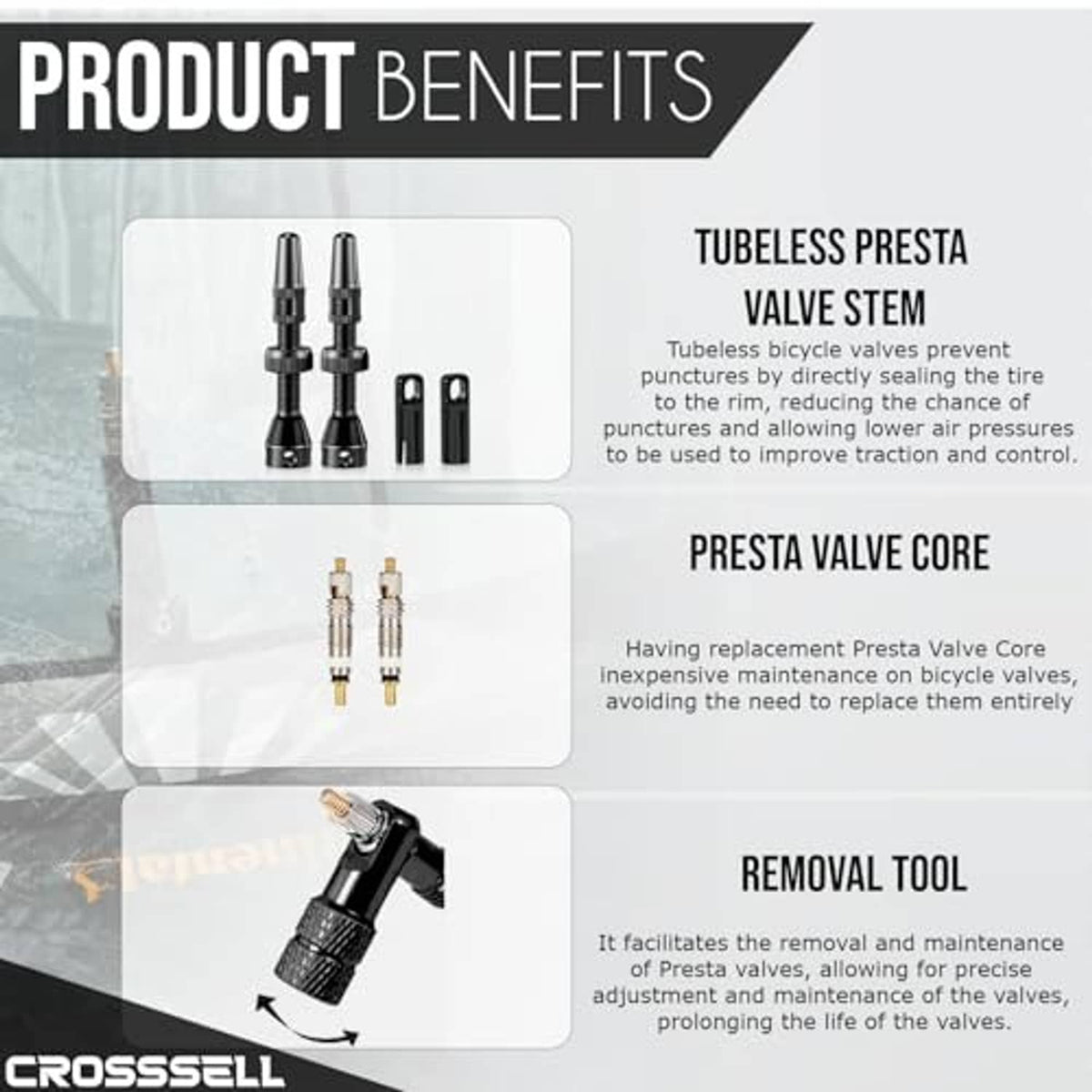 Tubeless Presta valve stem kit with two stems, valve cores, and removal tool