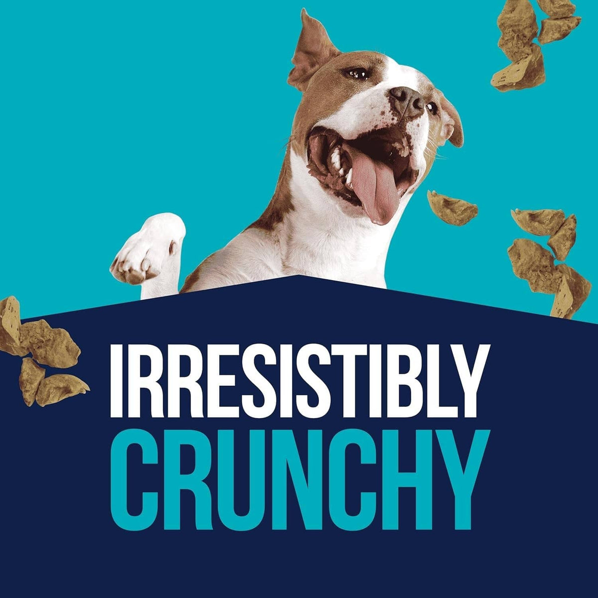 Freeze-dried chicken liver dog treats with dog and crunchy liver treat pieces
