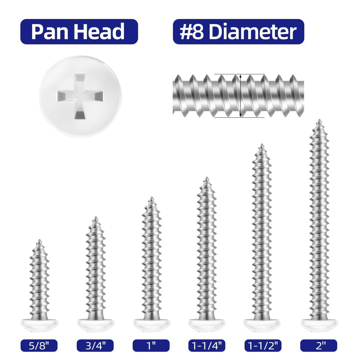 Set of #8 pan head self tapping screws with white cross-recess heads and silver threads.