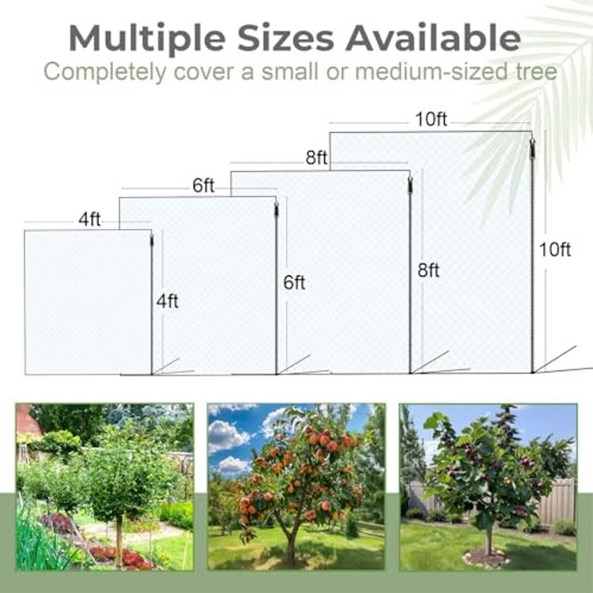 Fruit tree netting cover size chart with labeled height and width ranges