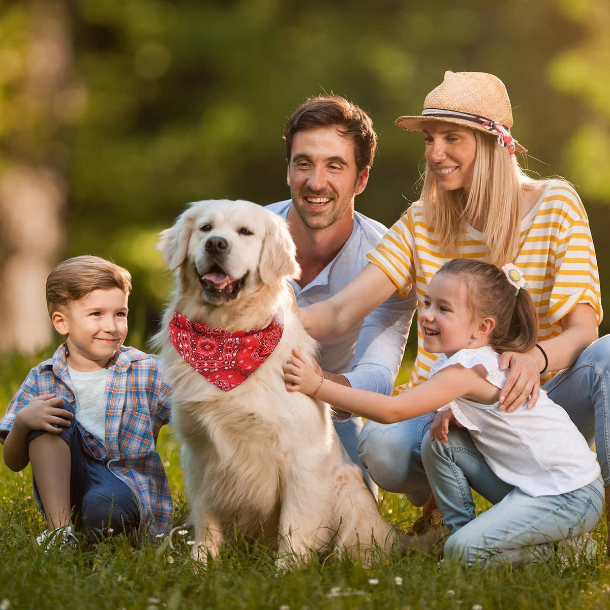 Dog wearing red patterned triangle bandana with snap closure at the neck