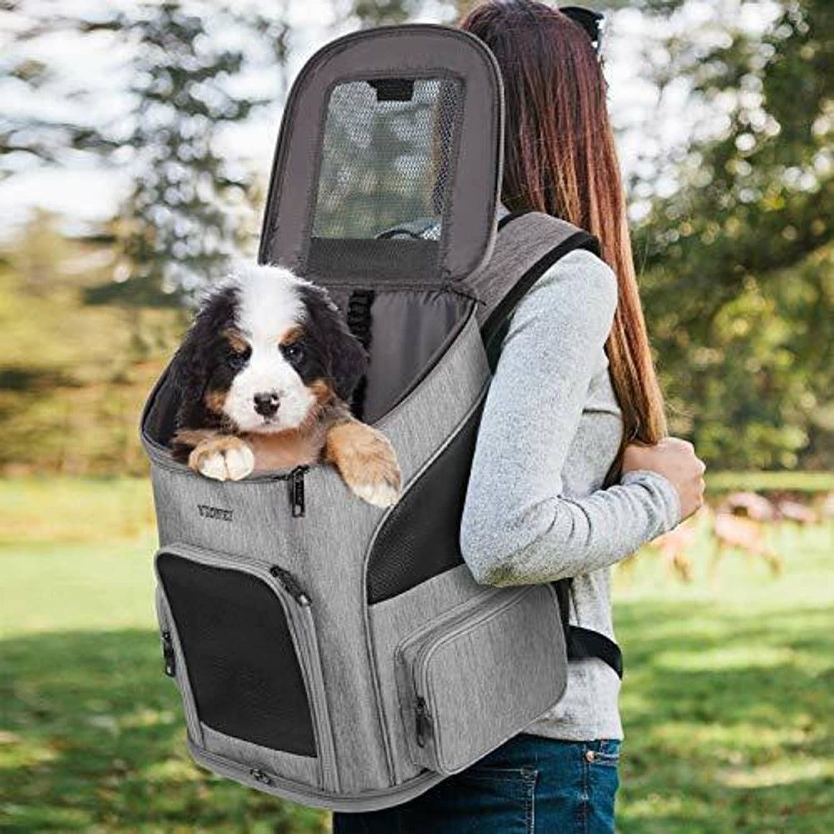 Gray pet backpack carrier worn on back with transparent ventilated mesh panel