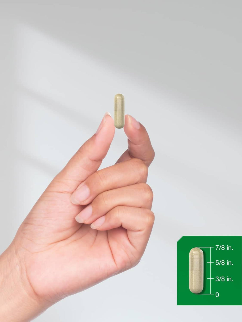 Hand holding a single maca root capsule, beige capsule with size guide