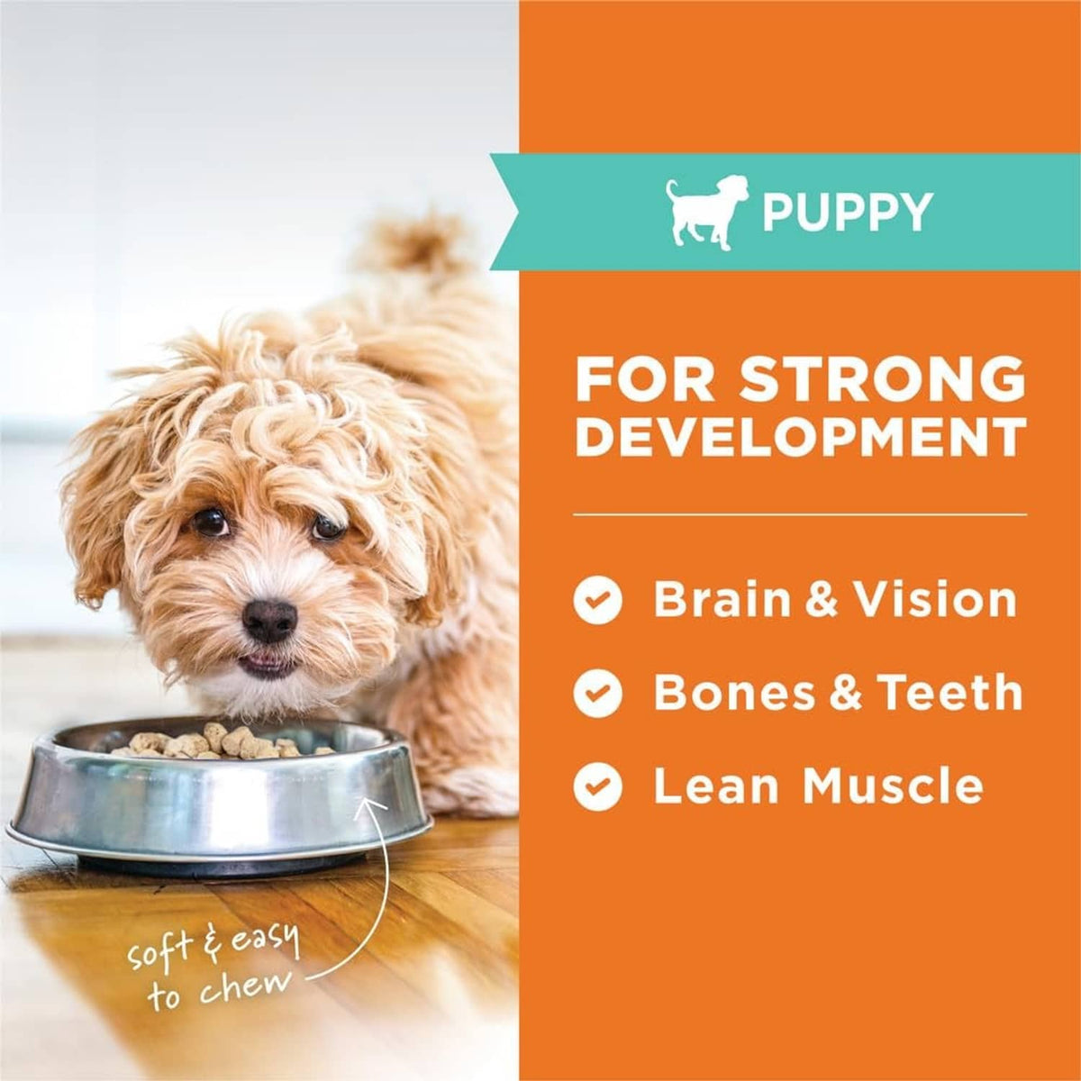 Puppy-focused freeze-dried raw meals graphic with benefit callouts for development