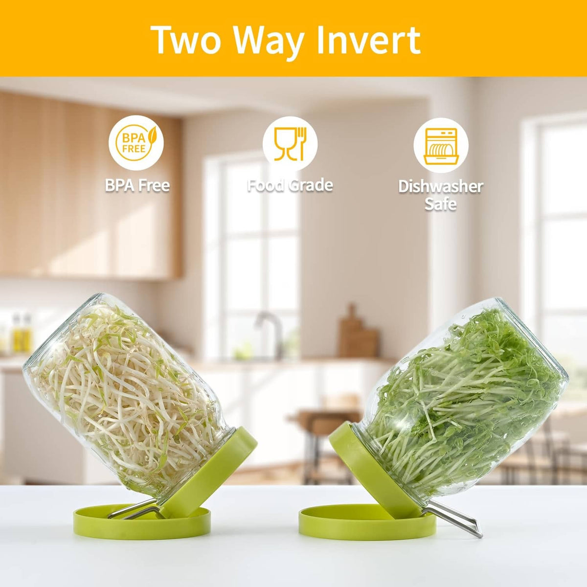 Green seed sprouter stands holding two inverted sprout jars with mesh lids