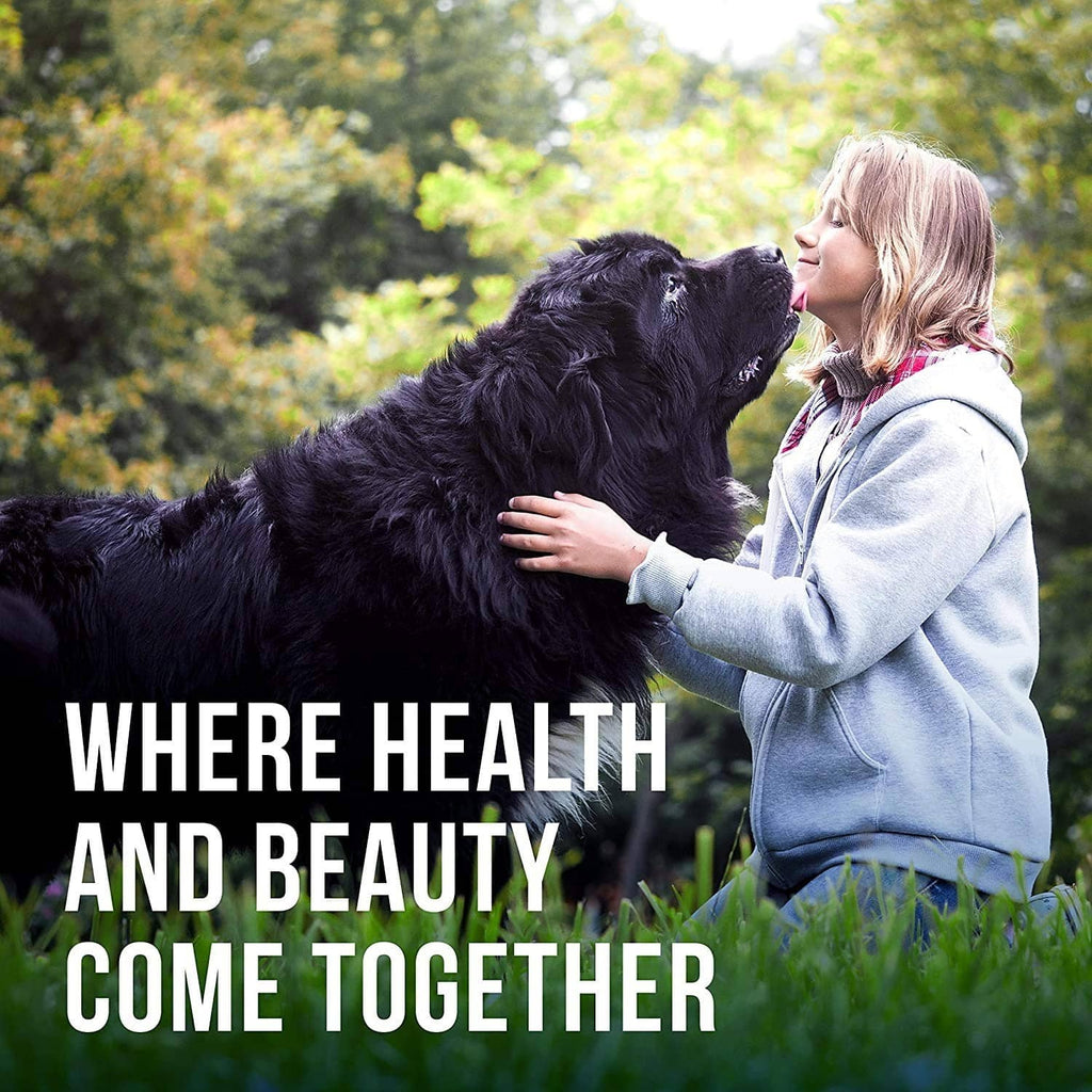 Dog and person cuddling outdoors, wellness-themed promotional banner for pets