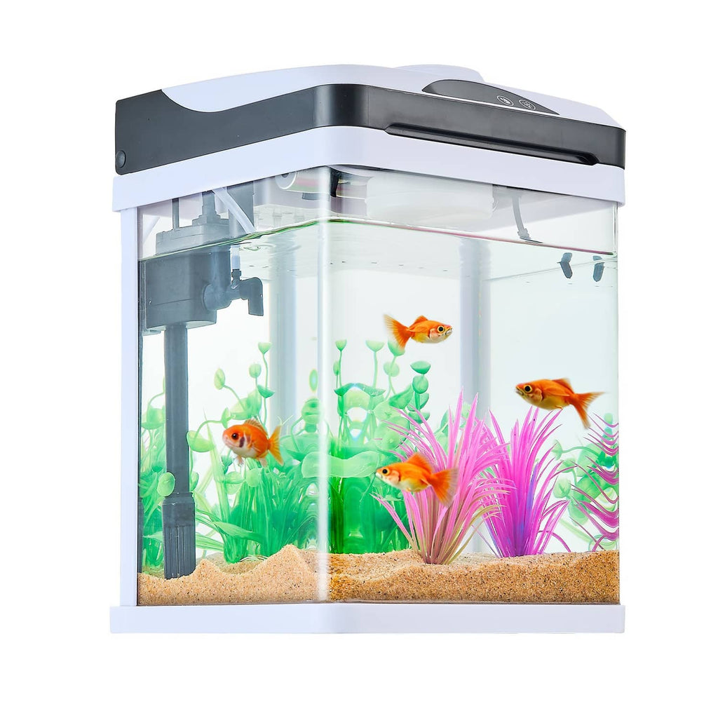 Square clear glass LED aquarium with tropical fish and colorful artificial plants