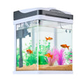 Square clear glass LED aquarium with tropical fish and colorful artificial plants