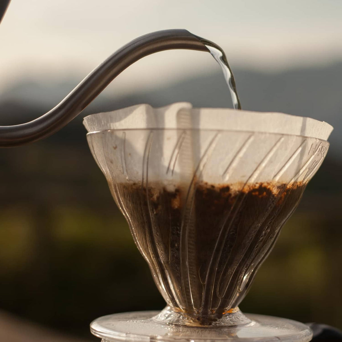 White V60 paper coffee filter in a clear dripper, Size 02