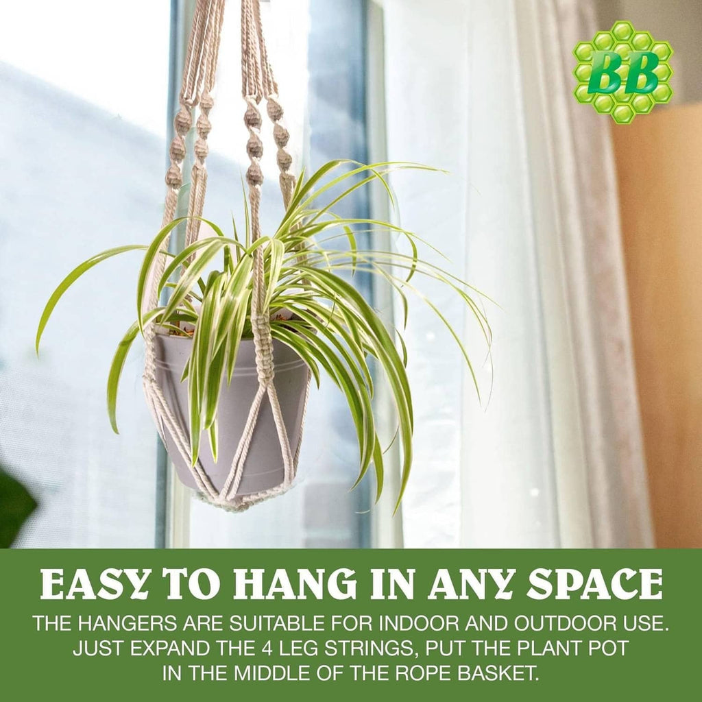 Off-white macrame plant hanger holding a small potted plant with short rope