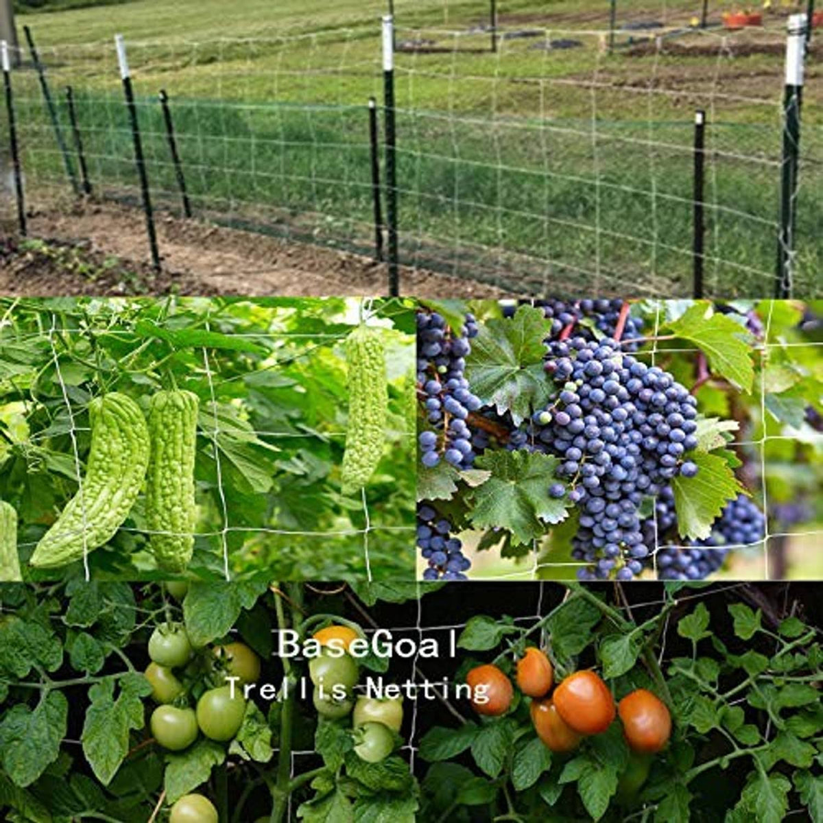 White trellis netting fence panel with square grid for climbing vines