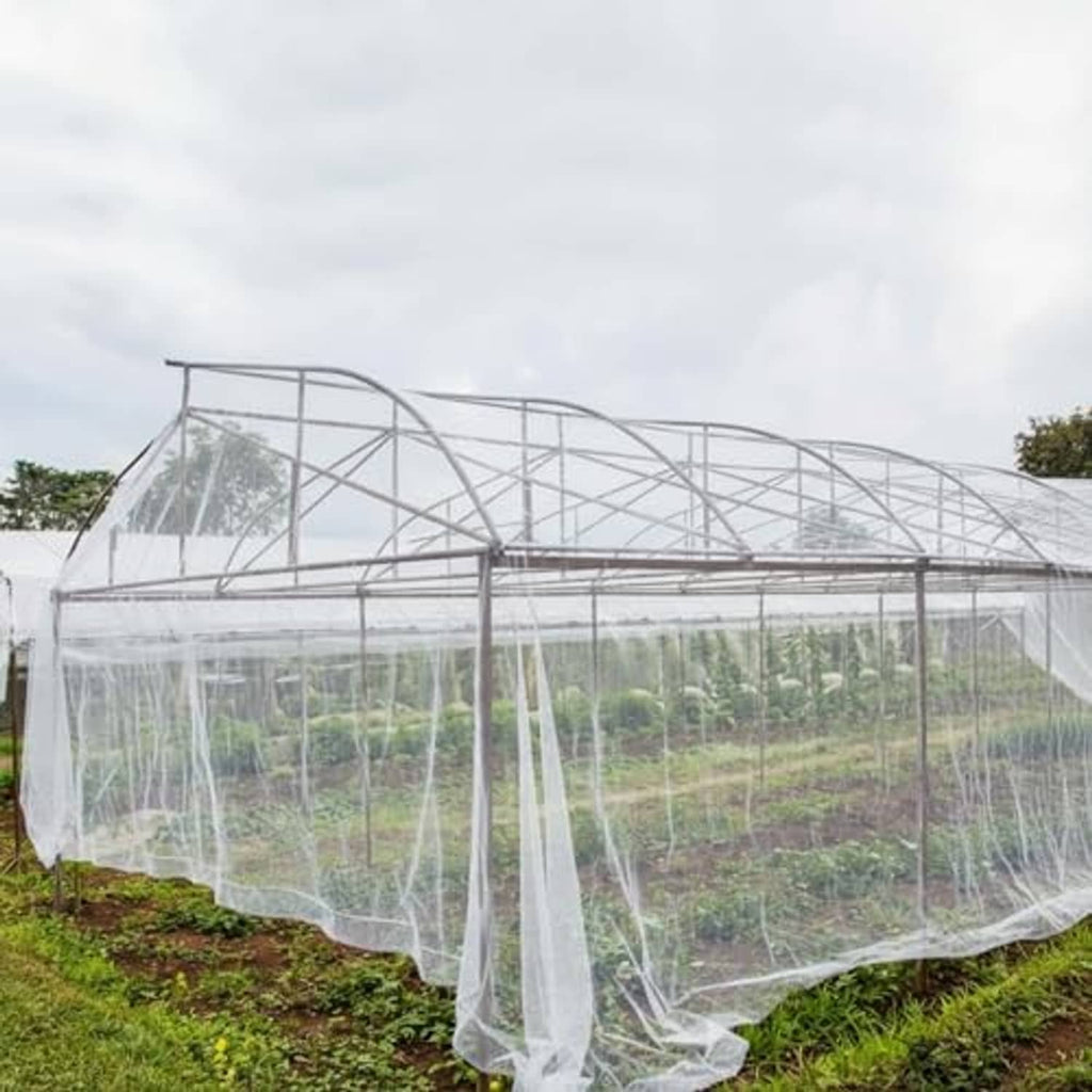 White insect netting covering a hoop greenhouse frame over garden beds