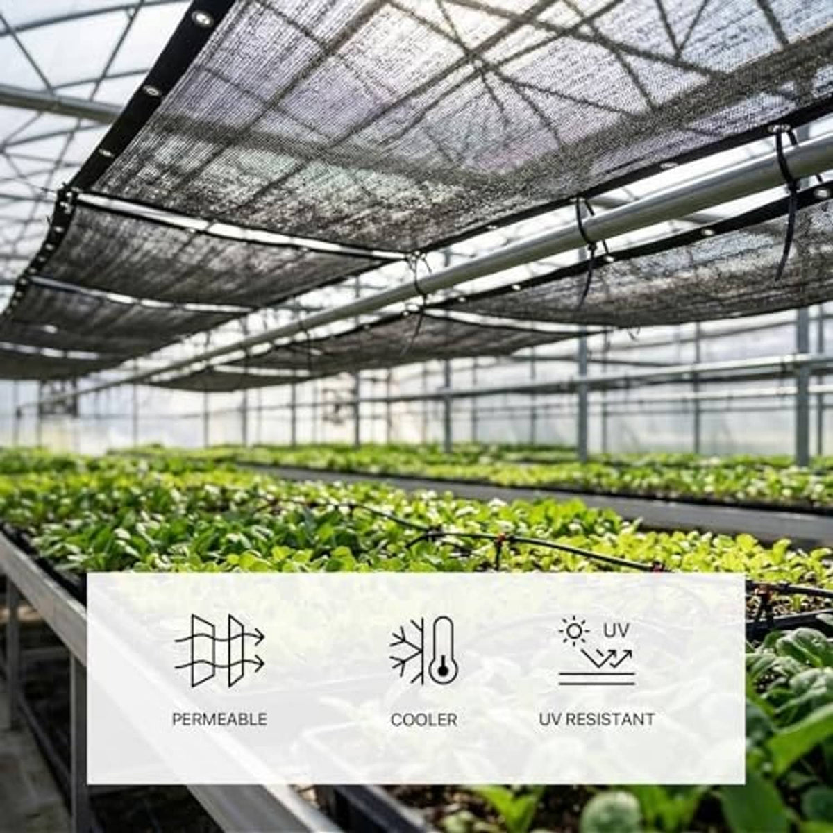 Black 50% shade cloth tarp stretched over greenhouse rows