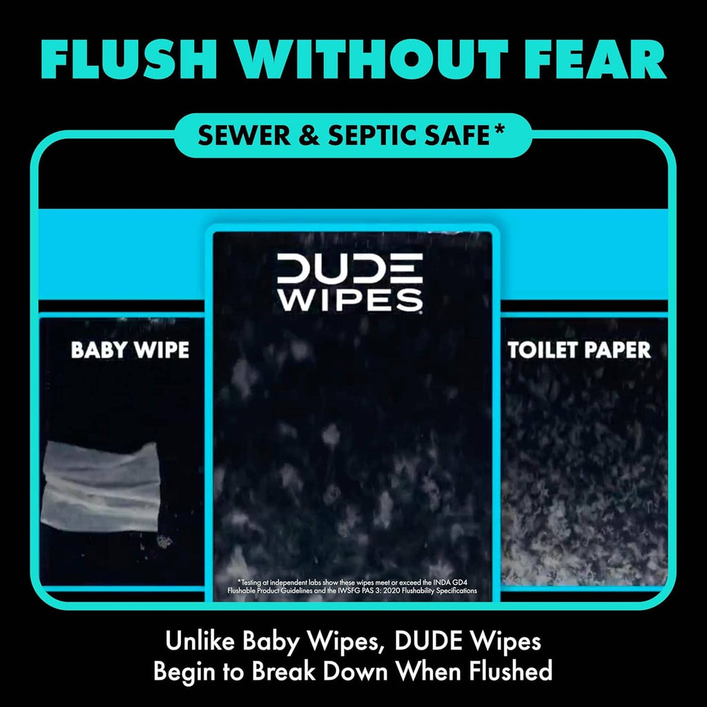 DUDE Wipes Mint Chill flushable wipes graphic with baby wipe and toilet paper icons