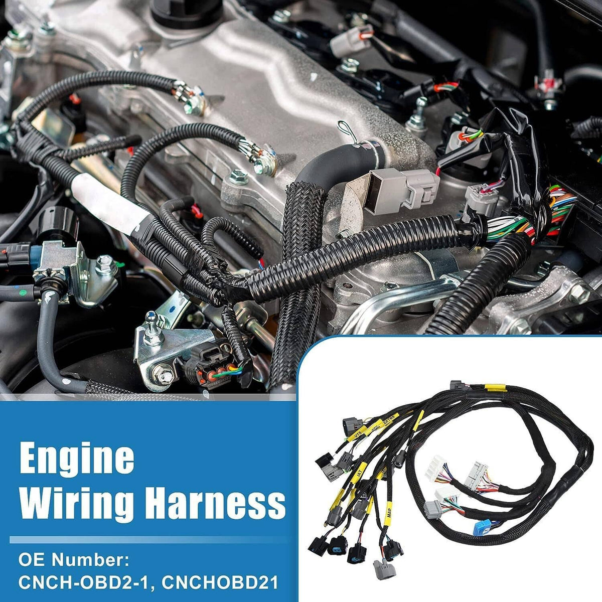 Engine bay wiring harness with bundled black looms and color-coded connectors