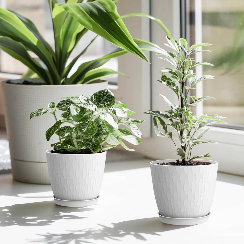 White textured plant pots with green plants on a sunny windowsill