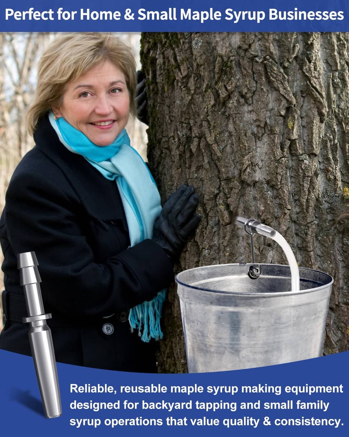 Maple syrup tapping kit with stainless tap and metal bucket attached to maple tree