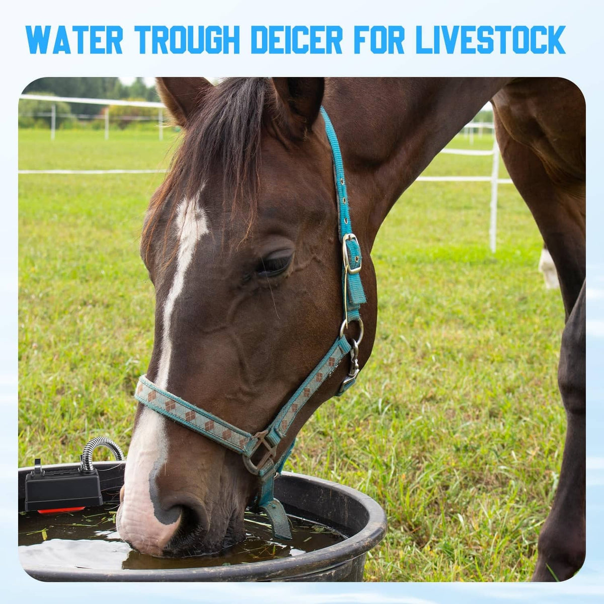 Livestock water trough with black float valve mounted on the tank rim