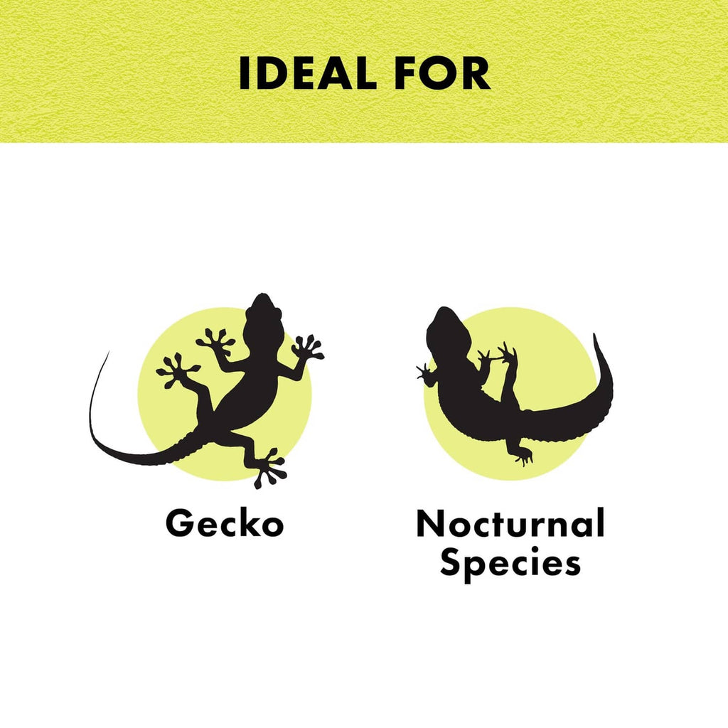 Nocturnal reptile heat bulb graphic with gecko and nocturnal species icons
