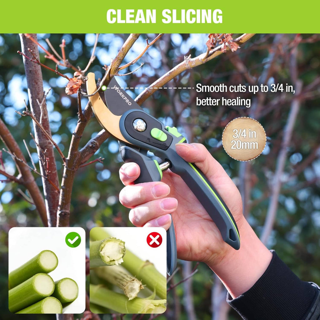 Bypass pruning shears being used on branches, black handle with green trim