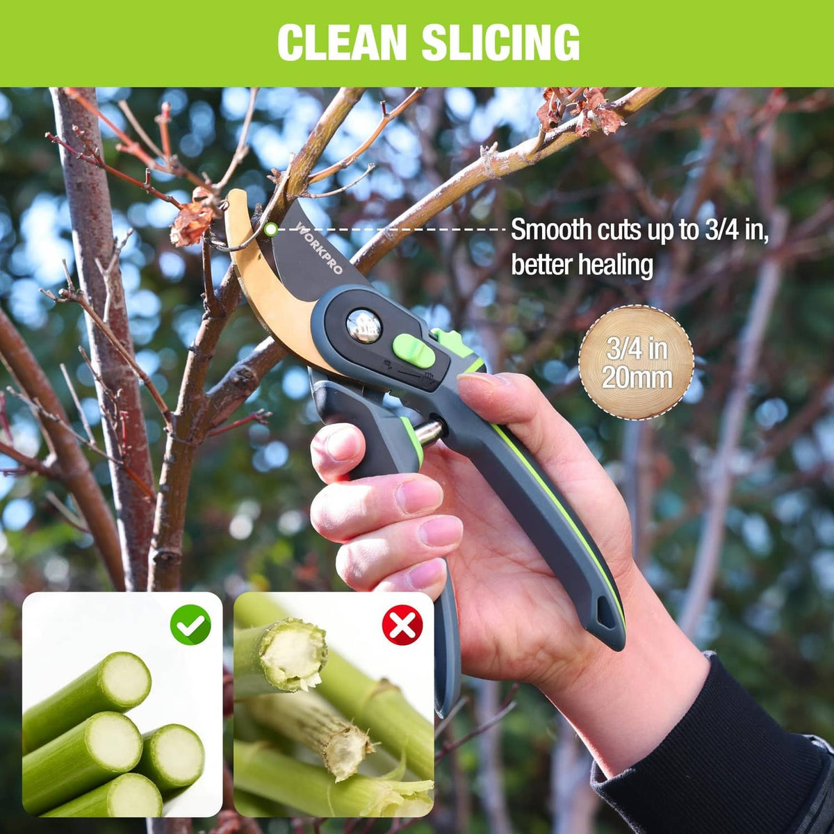 Bypass pruning shears being used on branches, black handle with green trim