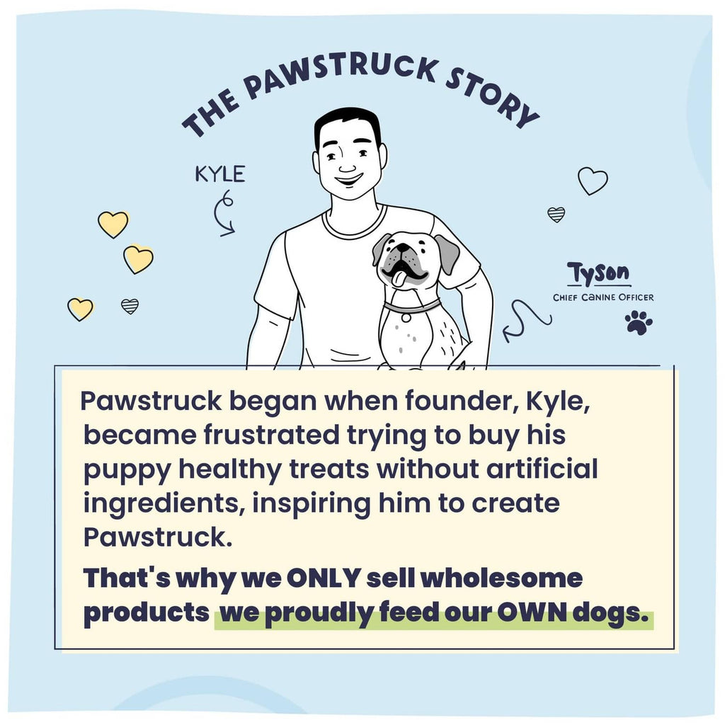 Pawstruck story card with founder, dog illustration, and heart icons