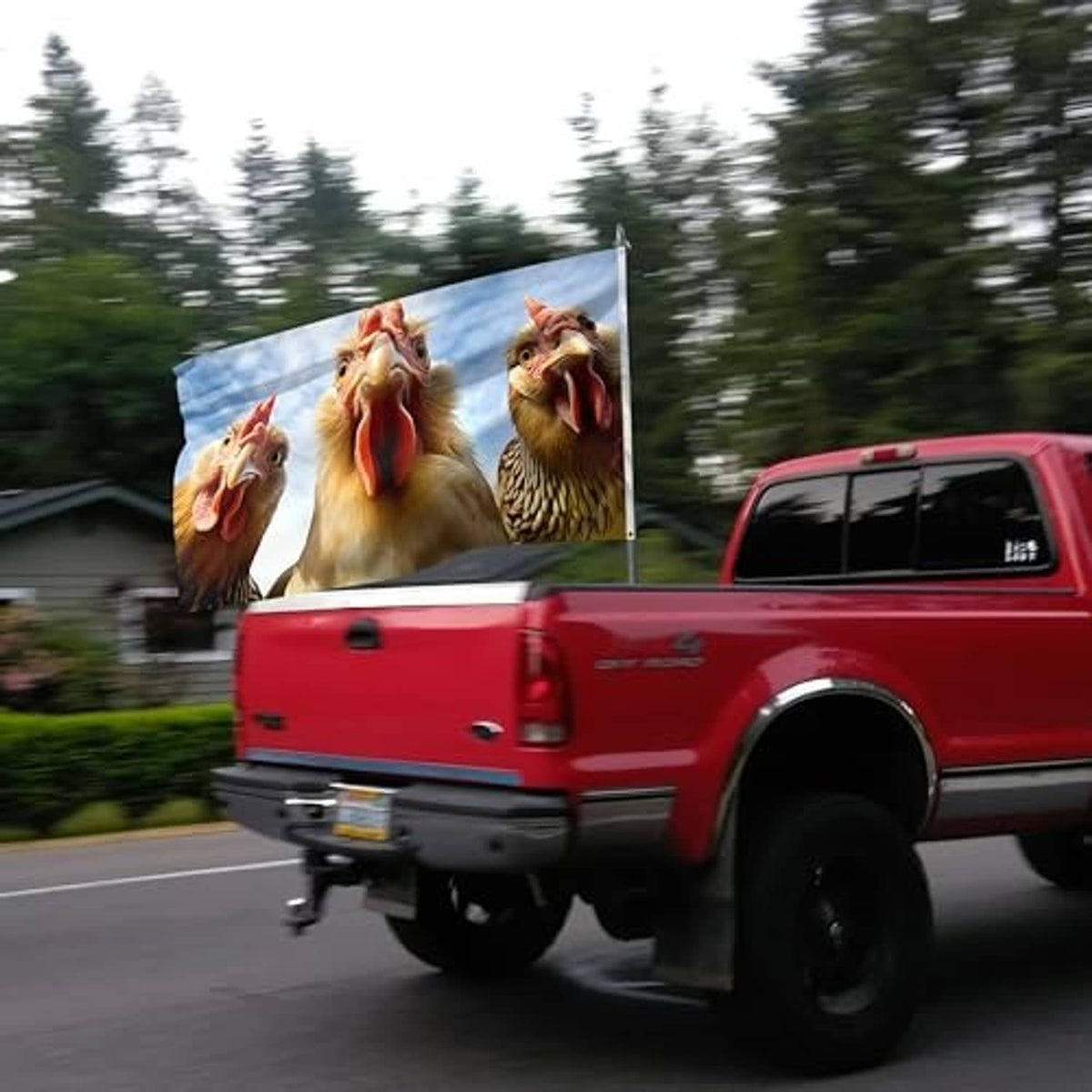 Chicken portrait flag flying from a vehicle, three cartoon chicken faces on blue background