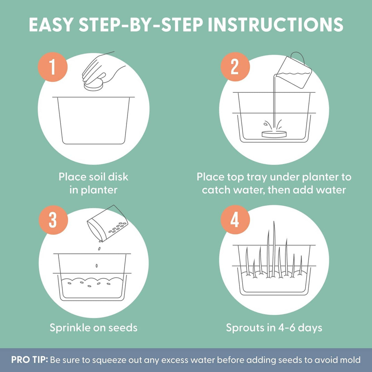 Cat grass growing kit instruction diagram showing steps to plant soil disk and sprout