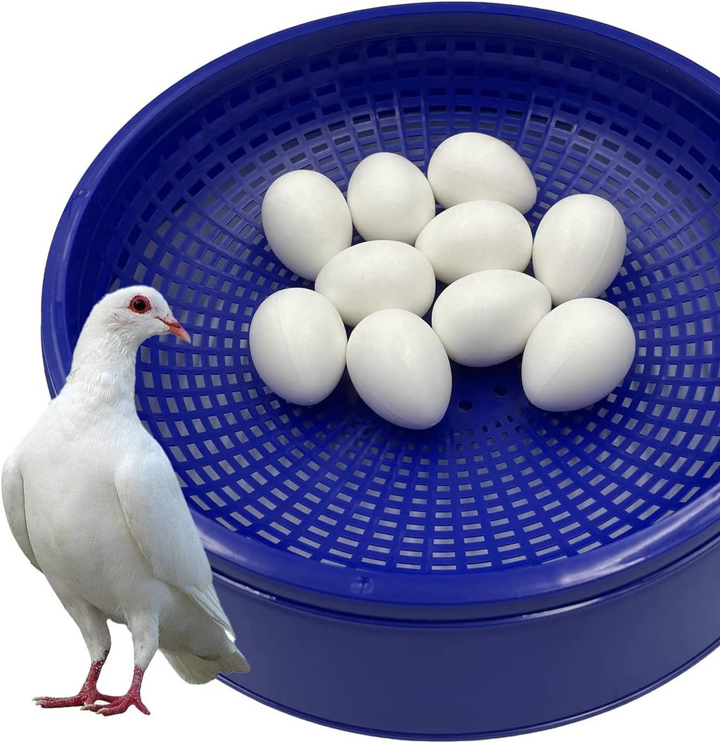 Set of 10 white plastic pigeon eggs in blue tray with white racing pigeon