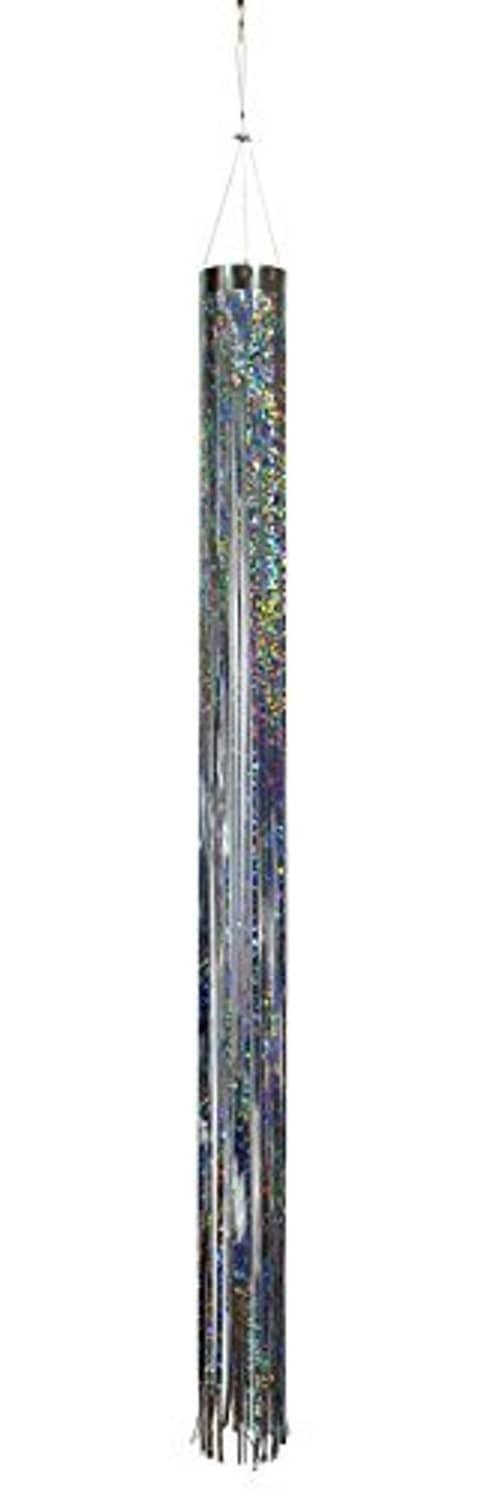 Silver holographic mylar windsock with shimmering vertical streamers and fringe