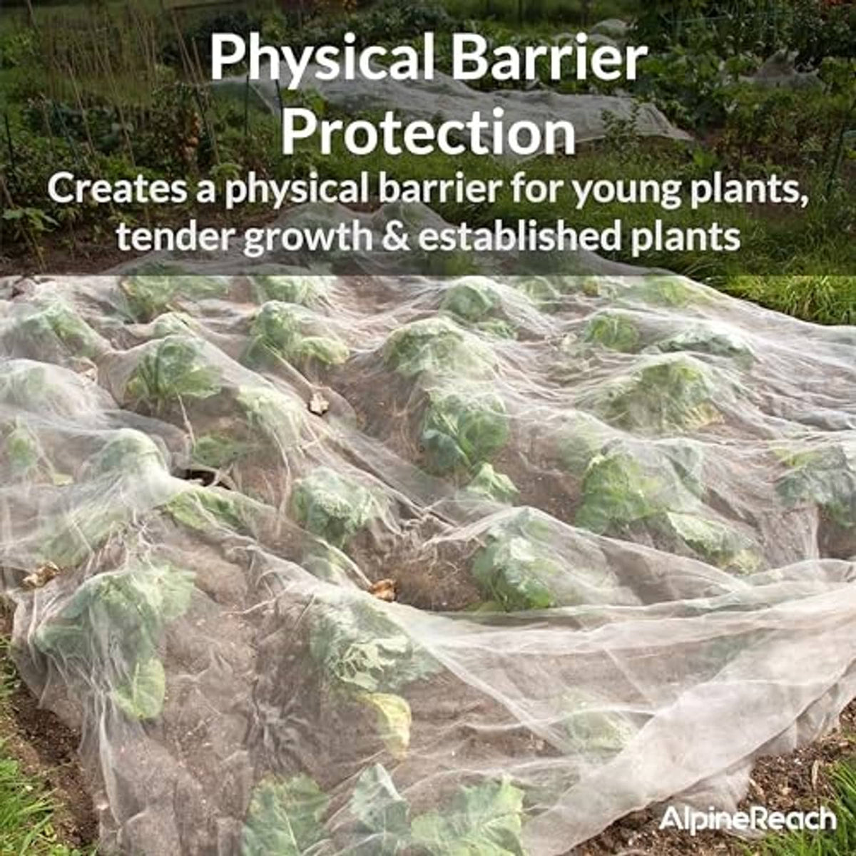 White mesh garden netting spread over rows of plants as a protective barrier