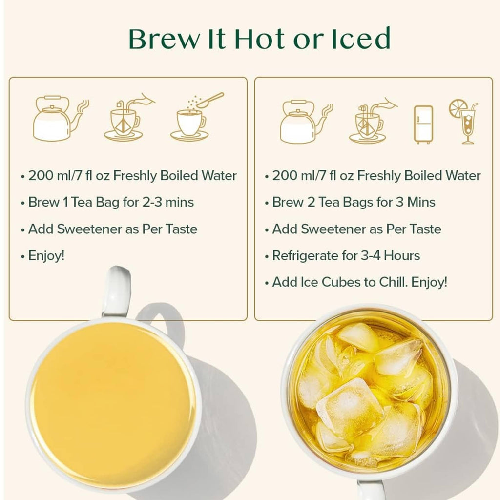 Brew hot or iced green tea instructions with cup and ice drink