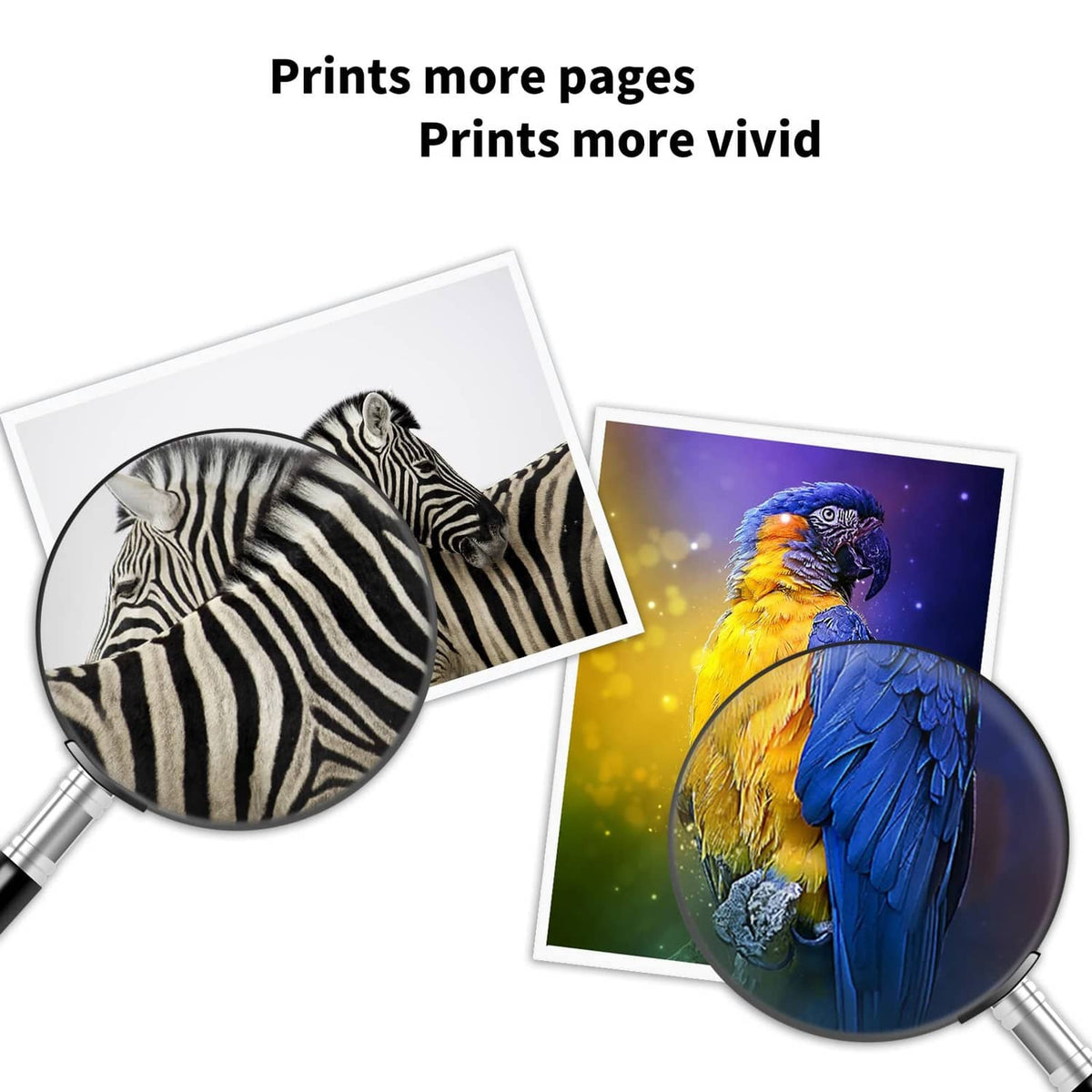 Ink cartridge replacement delivering vivid photo prints of zebra and colorful bird