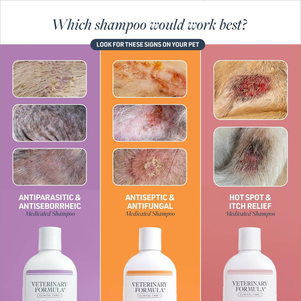 Antiseptic & antifungal medicated shampoo comparison chart with bottle thumbnails
